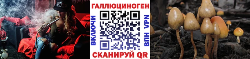 hydra зеркало  Гороховец  Псилоцибиновые грибы GOLDEN TEACHER  наркотики 